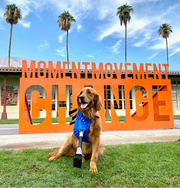 3D打印技术,拯救可爱的小动物